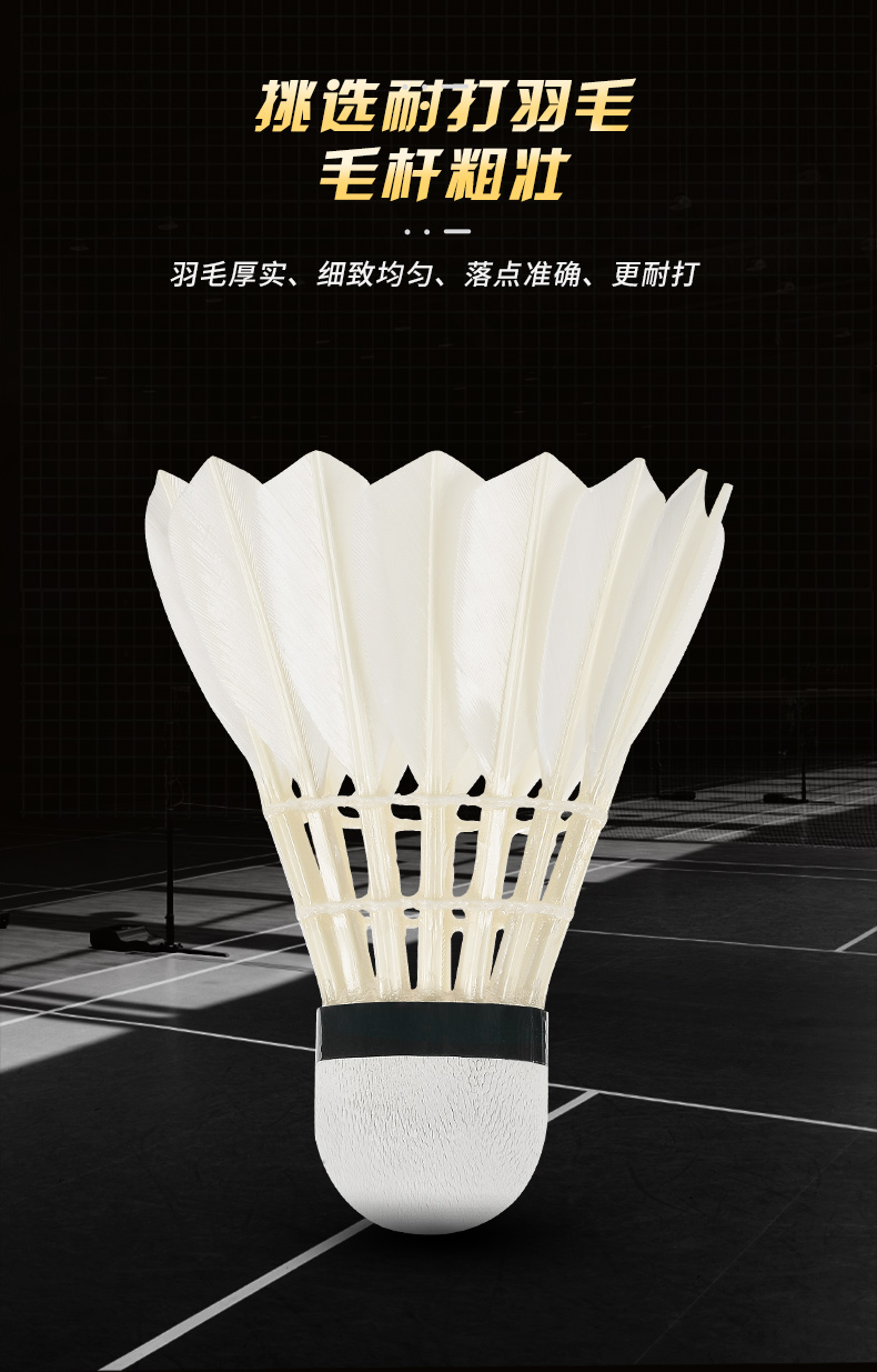 New 12PCS Professional Badmint - đánh giá và giá Badminton Event