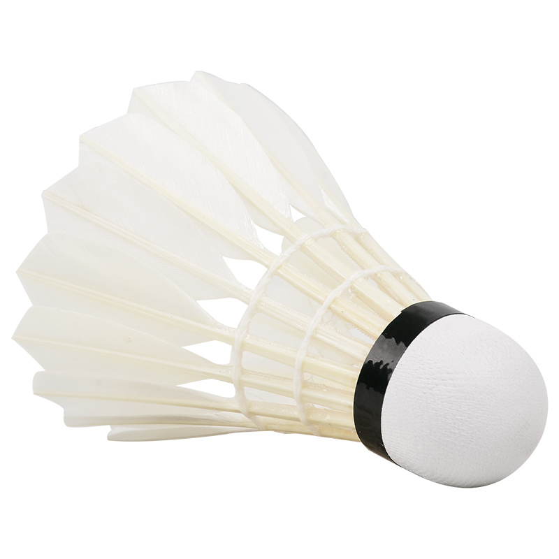 New 12PCS Professional Badmint - đánh giá và giá Badminton Event