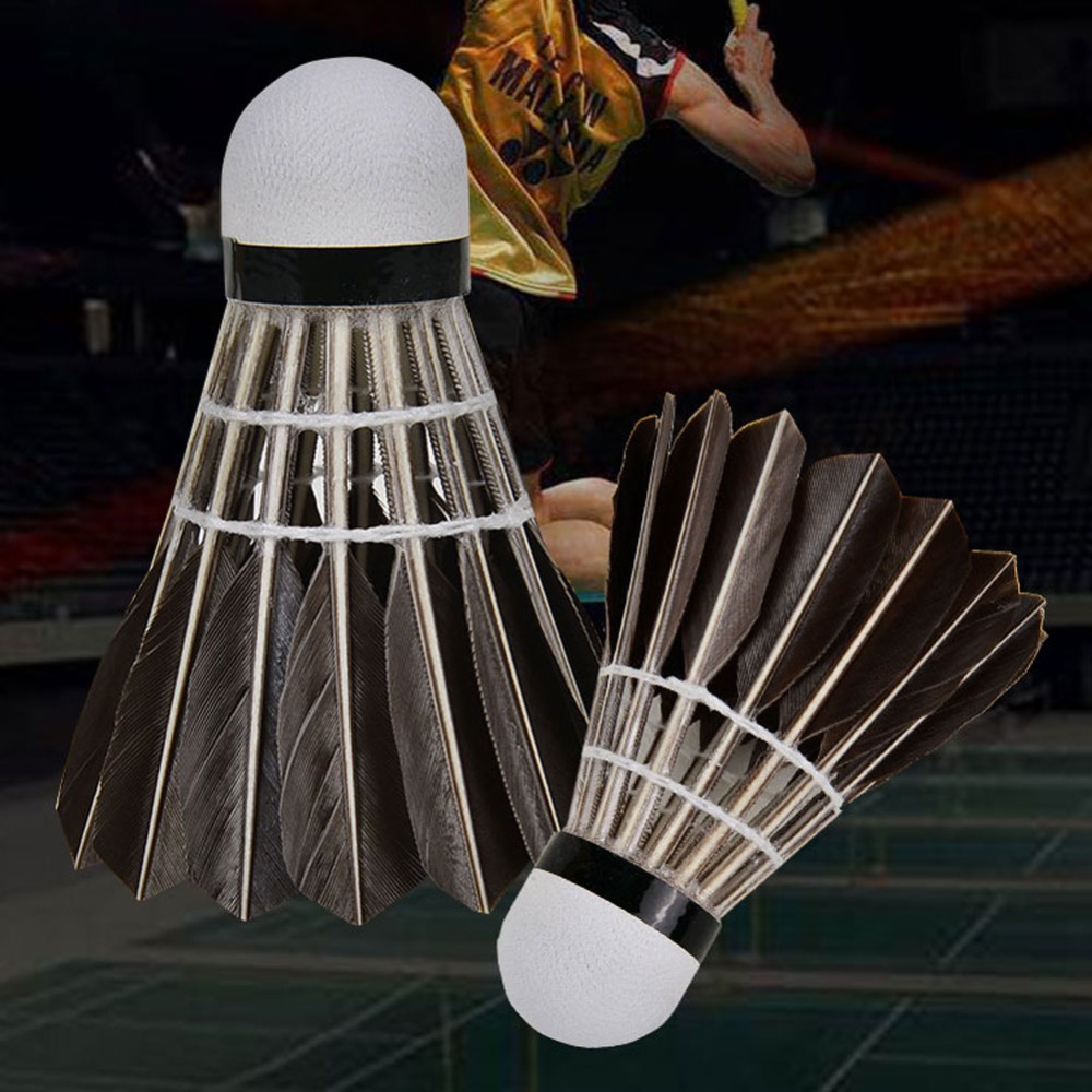 3/6/12Pcs Accessories Stable S - đánh giá và giá Badminton Event