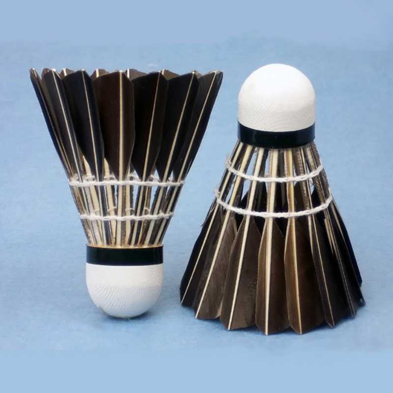 New 3/6/12pcs Professional Bad - đánh giá và giá Badminton Xxl